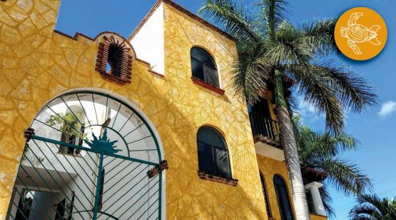 playa-alegria-copertina-struttura