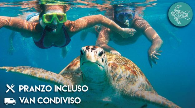 snorkeling-tartarughe-cenote-caracol-copertina