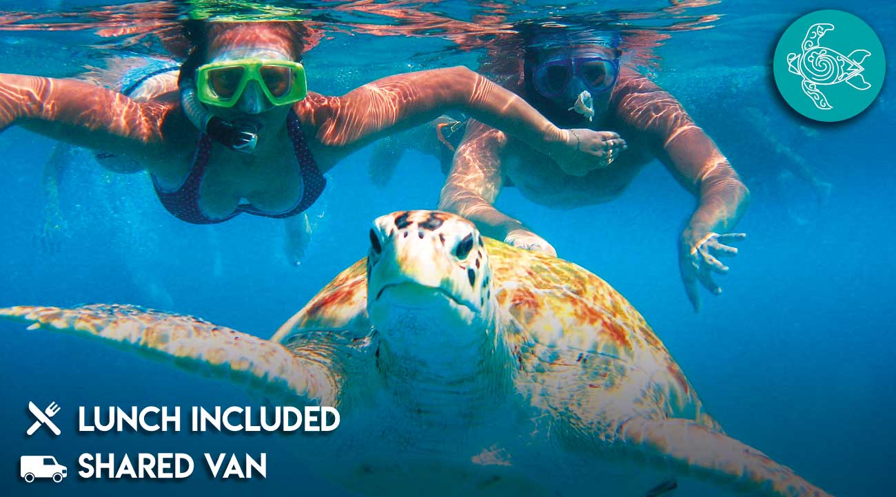 snorkeling-with-turtles-maya-vacanze snorkeling-with-turtles-maya-vacanze