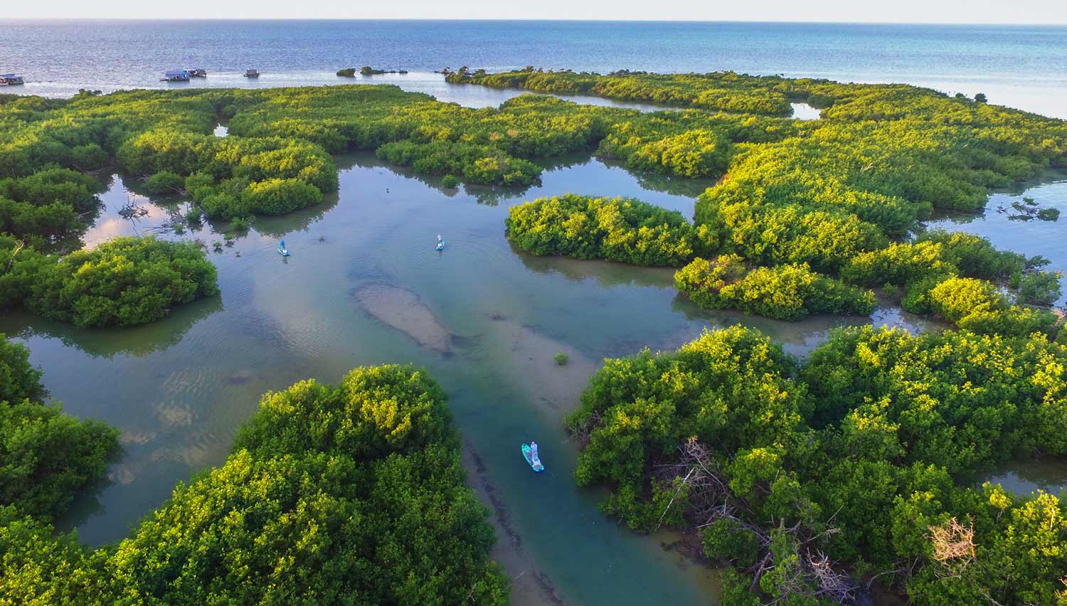 banco-chinchorro6-maya-vacanze